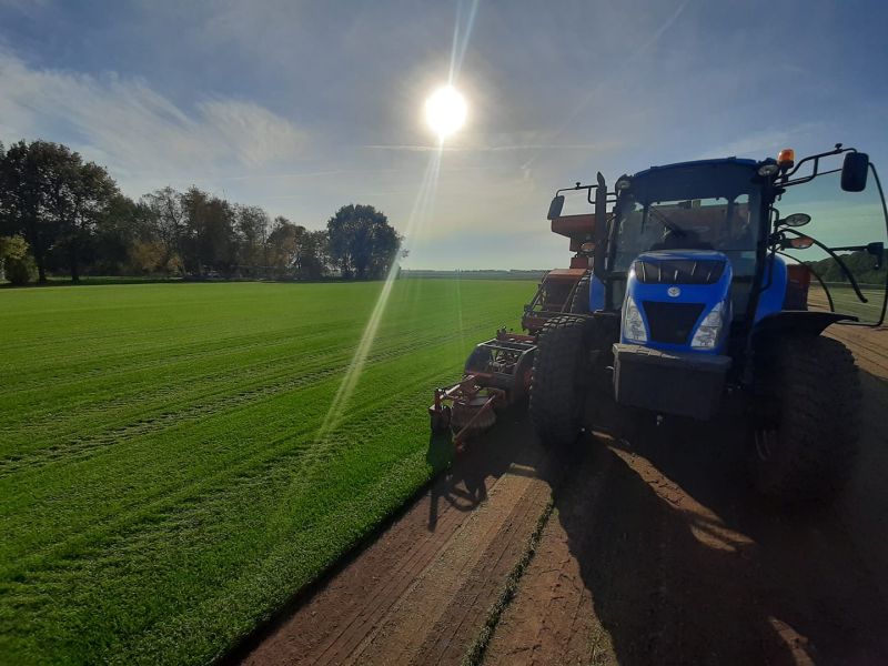 Atmosphärisches Foto von Graco-Rasen